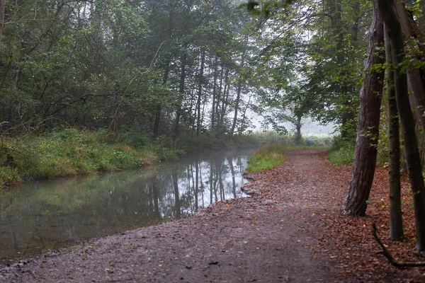 Waldweg Einem Nebligen Herbsttag Neben Einem Kleinen Bach — Stockfoto