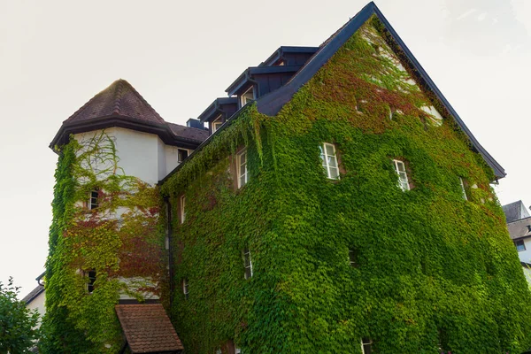 Lakóépületek Homlokzatai Schopfheim Óvárosában Fekete Erdőben — Stock Fotó