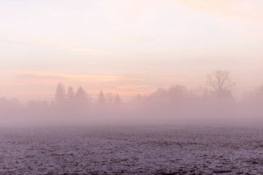 Kışın karla kaplı çayırda gün doğumu sisle kaplıydı.