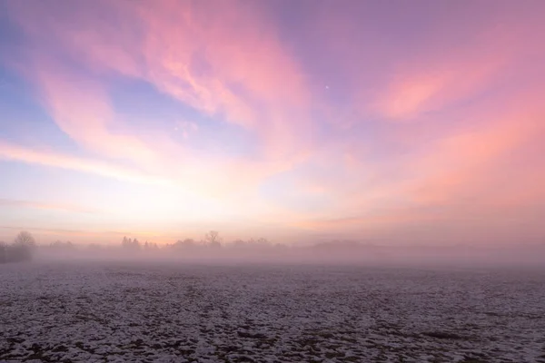 Wschód Słońca Nad Pokrytą Śniegiem Łąką Mgłą Zimie — Zdjęcie stockowe
