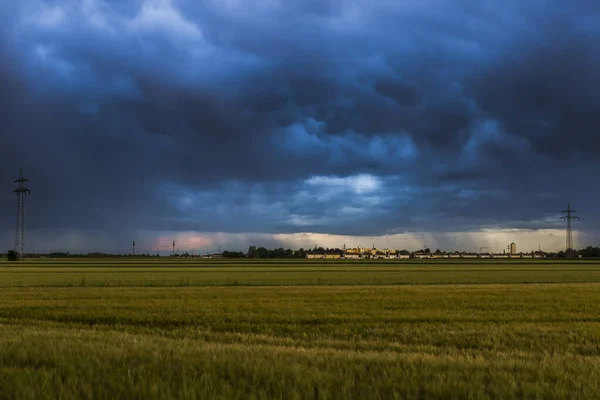 Badai Atmosfer Atas Ladang Gandum Dengan Langit Mendung Dan Pemandangan — Stok Foto