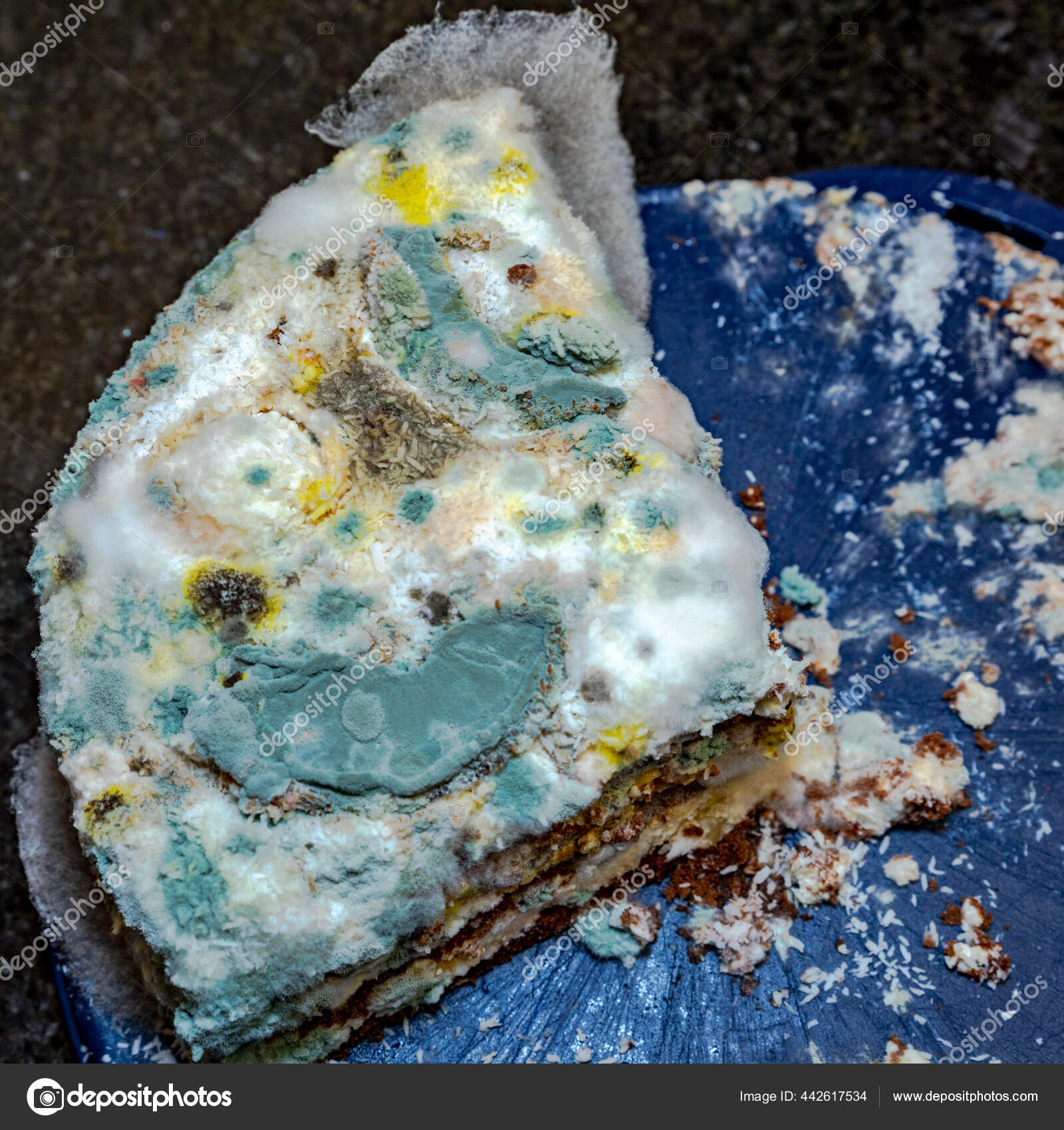 What Happens if you use Expired Funfetti Frosting? - Low Dough Family
