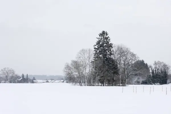 Ομάδα Δέντρων Βαθύ Χιονισμένο Τοπίο Μπροστά Από Μικρό Χωριό — Φωτογραφία Αρχείου