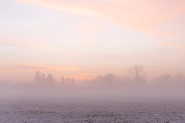 Kışın karla kaplı çayırda gün doğumu sisle kaplıydı.