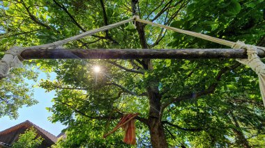 Hamaktan, güneşin parladığı ceviz ağacının yapraklı gölgesine bak.