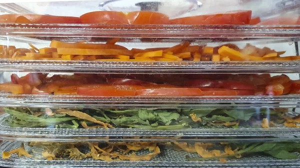 Vegetables Designed Dried Dehydrator — Φωτογραφία Αρχείου