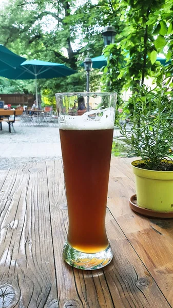 Bicchiere Birra Con Birra Grano Scuro Trova Tavolo Legno Giardino — Foto Stock