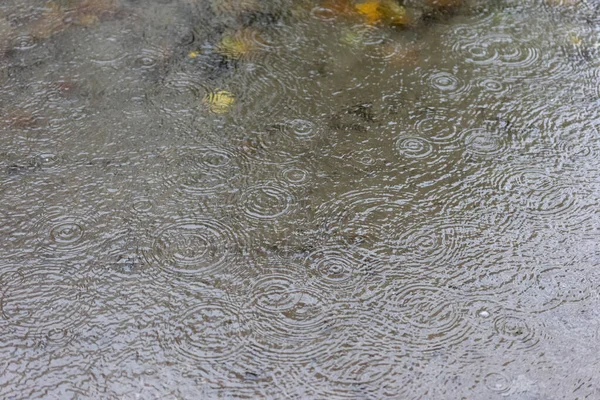 Regendruppels Vallen Het Water Vormen Een Patroon Van Concentrische Cirkels — Stockfoto