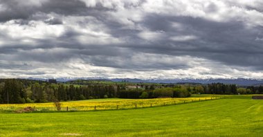 Yeşil çayır ormanları ve hafif bulutlu gökyüzü ile Bavyera alp eteklerinin manzarası