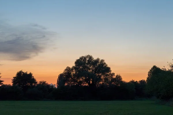 Закат Над Краем Леса — стоковое фото