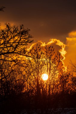 Güneş, parlayan bulutlarla kış ağaçlarının ardında batıyor. Almanya, Münih, 21 Kasım 2025