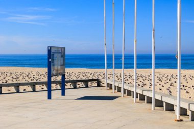 Torreira Portekiz, Torreira, 13 Ekim 2025 Minimalist sahil plajında martılarla dolu.