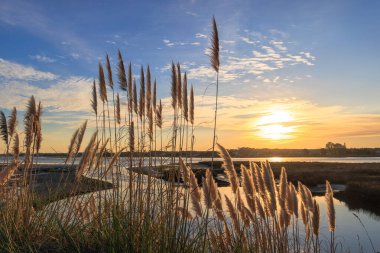 Ilık gün batımı ışığı Furadouro Portekiz 'deki sakin kıyı gölünün üzerinde, Ovar Furadouro, 12 Kasım 2025.