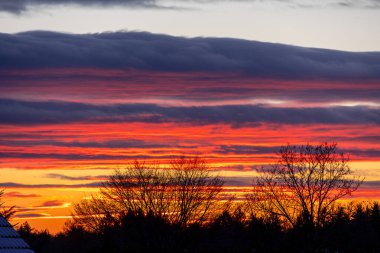 Kış ağacı siluetleri üzerinde yoğun kırmızı ve turuncu gündoğumu bulutları, Almanya, Wolfegg, 3 Ocak 2026