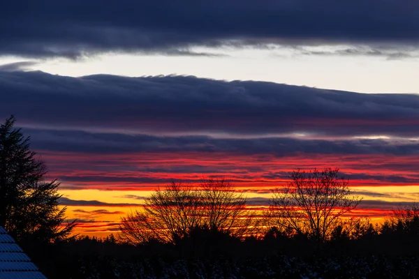 3 Ocak 2026 'da ağaçların, Almanya' nın, Wolfegg 'in, gündoğumunda kırmızı ve turuncu parlayan katmanlı kış bulut oluşumu.