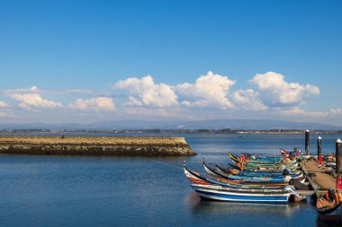 Küçük sürat tekneleri ve Portekiz, Sao Jacinto 'da geleneksel balıkçı tekneleri olan Marina, 13 Ekim 2025