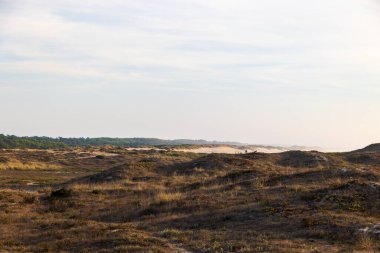 Yumuşak gökyüzü altında seyrek bitki örtüsü bulunan yuvarlanan sahil kumulları, Portekiz, Ovar Furadouro, 14 Ekim 2025