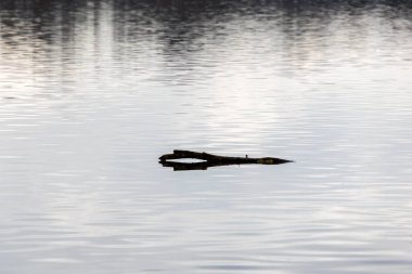 Sakin Kış Gölü yüzeyinde Dalgalanan Dalgalar