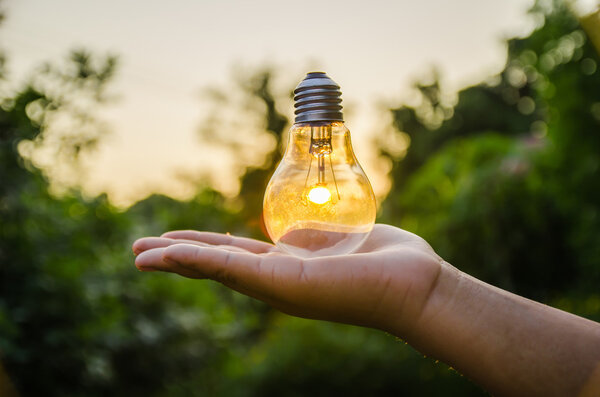 light bulb against sunset nature background. power concept