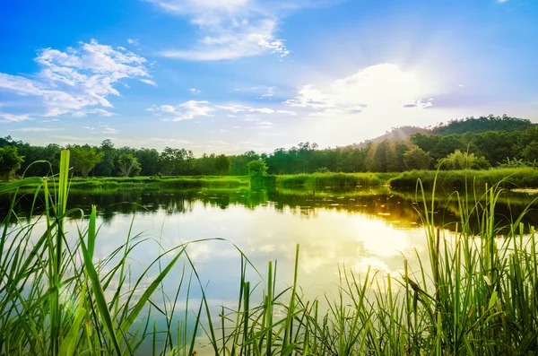 Güneş mavi gökyüzü ve nehir