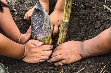 çocuklar el ve ağaç