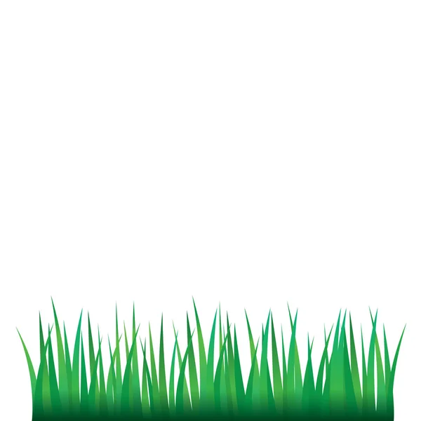 Herbe verte — Image vectorielle