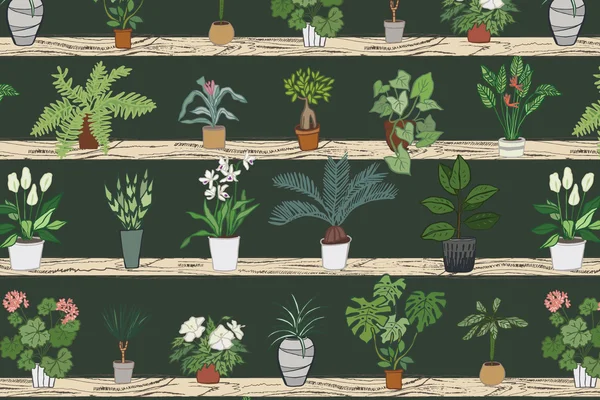 Home piante modello — Vettoriale Stock