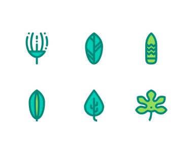 Beyaz arkaplanda renkli tropikal yapraklar