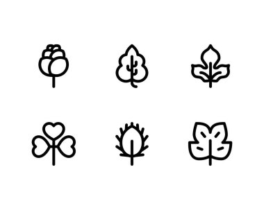 Beyaz arkaplanda tropikal yapraklar