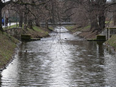 Nehir, köprü, su, gün