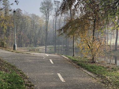 Yol, park, ağaçlar, doğa