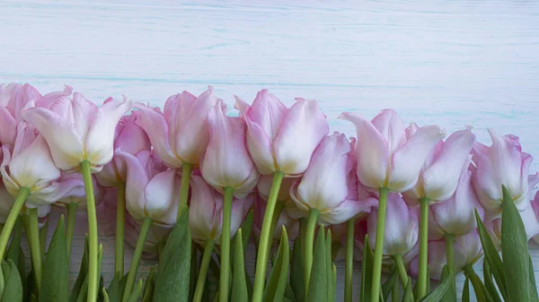 Floral texture. Tulips close-up. bouquet. Pink. Flowers concept — Stock Photo, Image