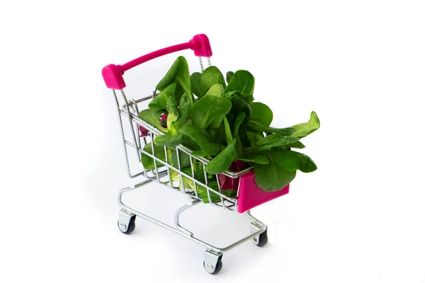 Legumes verdes frescos em uma cesta de supermercado. Mini carrinho de compras — Fotografia de Stock