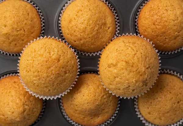 Čerstvé lahodné dortíky v pečivu. Vanilkové muffiny, pohled shora. — Stock fotografie