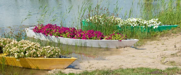 Tre vecchie barche piene di fiori freschi lungo il fiume. — Foto Stock