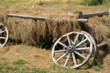 Saman arabasının kırık tekerleği. Eski çiftlik arabası çöktü, saman saman saçıldı.