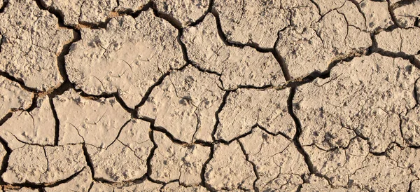 Cracked earth in dry river bed during times of drought. — Stock Photo, Image