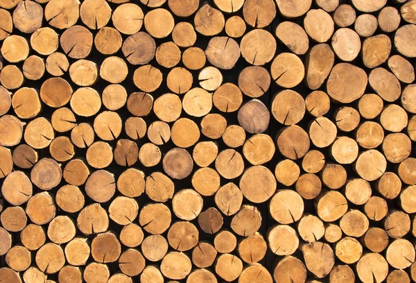 Un montón de troncos para aserrar en tablas. La textura de los troncos talados. Explotación. —  Fotos de Stock