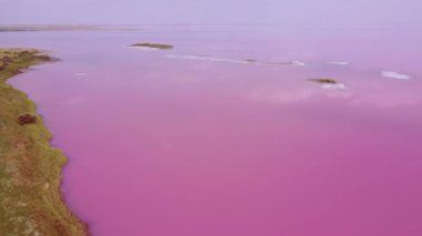 Pembe bir gölün üzerinden uçmak. Pembe su