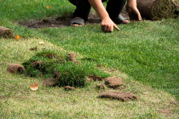 избирательный фокус. Трава для стрижки газона, на заднем плане размытый рабочий