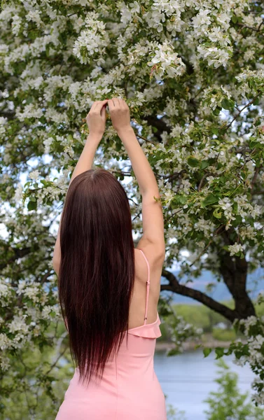 Meisje met apple bomen — Stockfoto