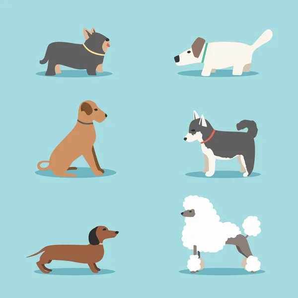 Σύνολο των σκύλων. Καρτούν εικονογράφηση φορέα. ΚΤΗΝΙΑΤΡΙΚΗ ΚΛΙΝΙΚΗ — Διανυσματικό Αρχείο