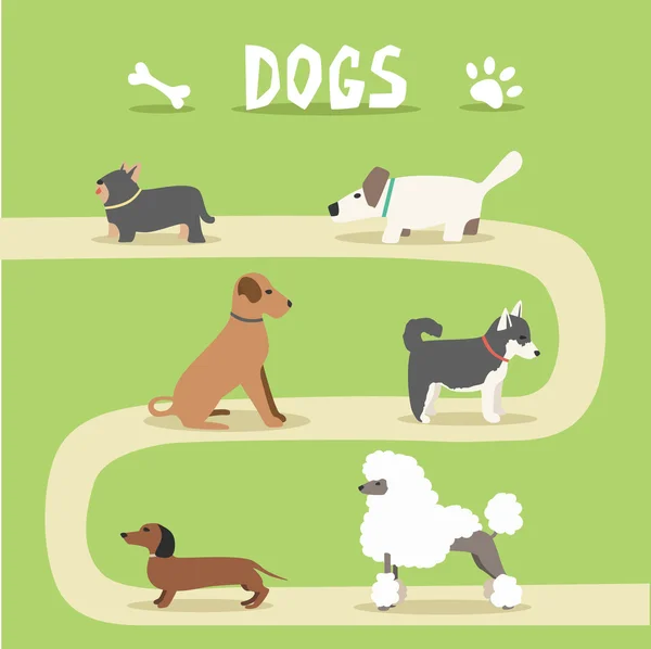 Conjunto de perros. Ilustración vectorial de dibujos animados. Parque — Vector de stock