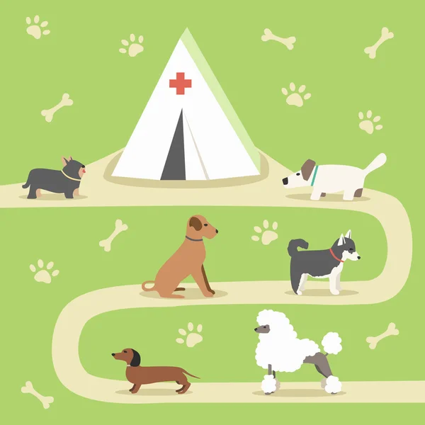 Set of dogs. Cartoon vector illustration. Vet clinic — Stock Vector