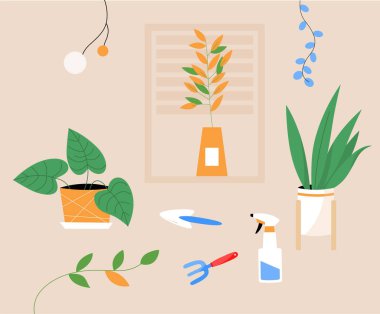 Saksıda saksı bitkisi ve ekin malzemeleri olan bir daire.