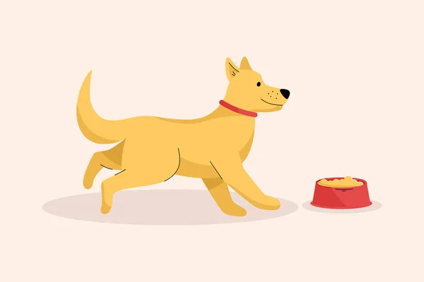 Το χαρούμενο χαριτωμένο σκυλί τρέχει στο μπολ με το φαγητό του. Τάισμα πεινασμένο κουτάβι — Διανυσματικό Αρχείο