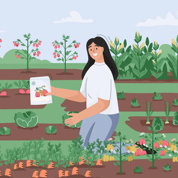 Žena zaseje sazenice na zahradě. Farmer pěstuje zemědělskou rostlinu — Stockový vektor