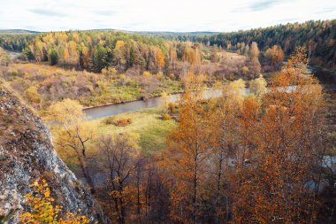 Ağaçlar Sonbahar alan