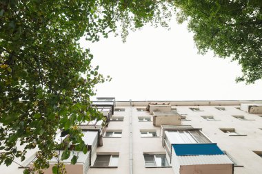 Binalar ve ağaçlar gökyüzüne karşı
