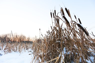 Köyde kış manzarası